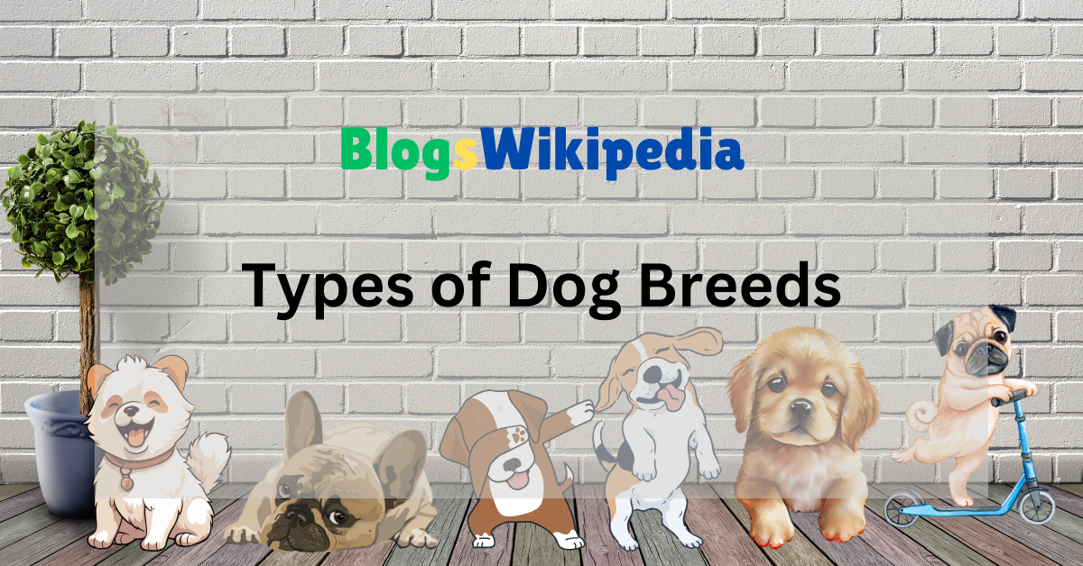 Types of Dog Breeds: A Comprehensive Guide