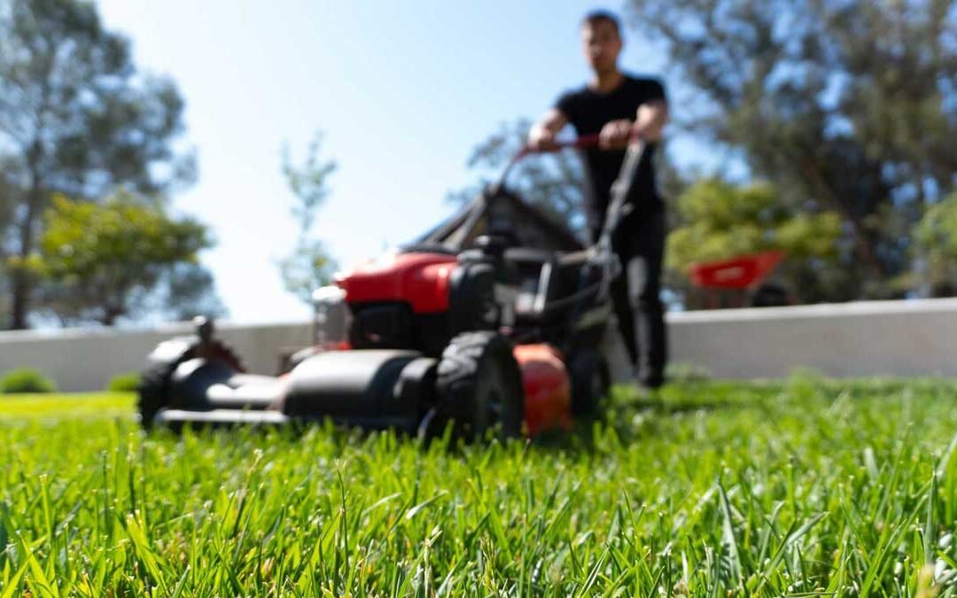 The Power of Daily Habits: Small Steps, Big Results